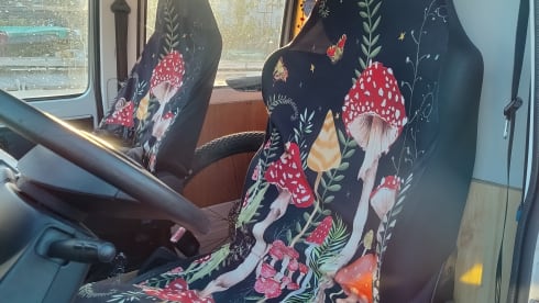 2 persoons Renault camper – On an adventure with a cheerful disco camper!