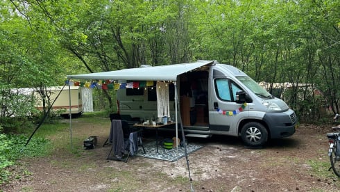 Globecar  – Globecar 3p Pössl bus from 2012