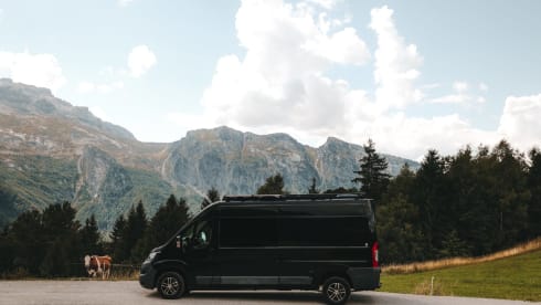 3p Peugeot bus from 2017
