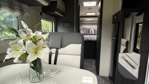 Safari – 4 berth Roller Team semi-integrated from 2025