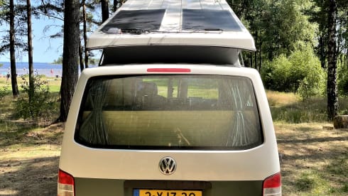 Binkie – Unique and durable Volkswagen Transporter