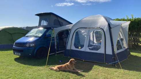 Belle – Take Belle me out for an adventure with your friends, family and pets