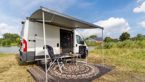 Copito – 3p Other bus from 2015