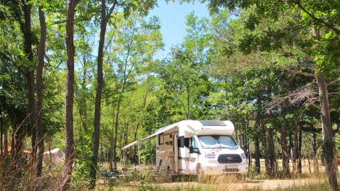 Cocoon – 5p Benimar semi-integrated from 2019