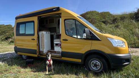 2-seater Ford bus from 2016