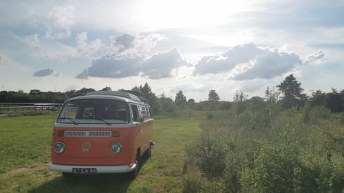 Maxima – A moment back in time with a Volkswagen T2 - Completely restored!