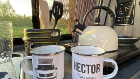 Hector – T5 VW (2012), White Pop-Top (SWB)