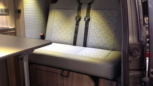 Monty – "Monty" Super Cool, Powerful, Cruisy,  VW T5 Camper