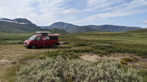 Dollie – Camperbus Volkswagen T4