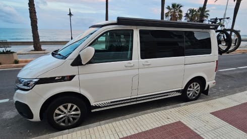 Walter – 4 berth Volkswagen campervan from 2023