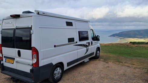 2p Fiat bus from 2017