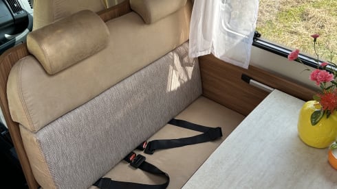 6p Carado alcove from 2015 with AIRCO