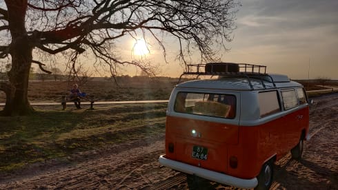 Maxima – A moment back in time with a Volkswagen T2 - Completely restored!