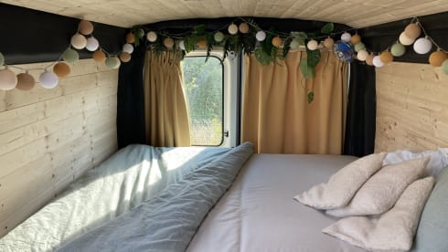 Blackie – 2p Ford bus from 2017