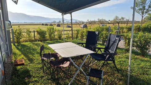 Fiat MC Louis 6 personen