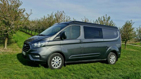 Ford Karmann Duncan 545