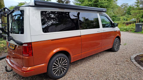 Bertus – 4p Volkswagen campervan from 2018