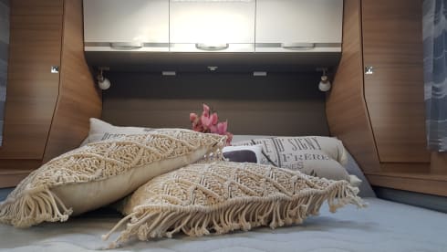 Adriaantje – LUXURY RV with QUEENSBED 4 pers