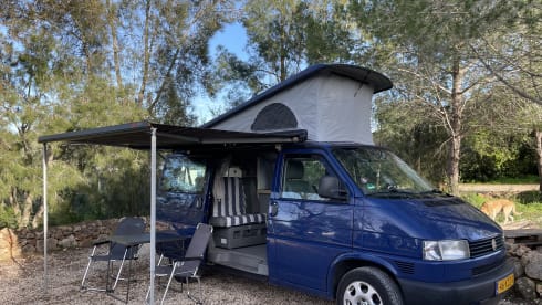 Marty – Volkswagen transporter California (T4 2,5 liter 85HP) 
