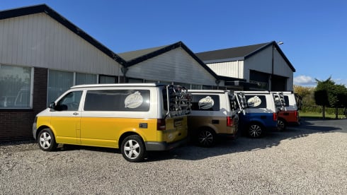 Aloha beach camper Gold – VW T6 California