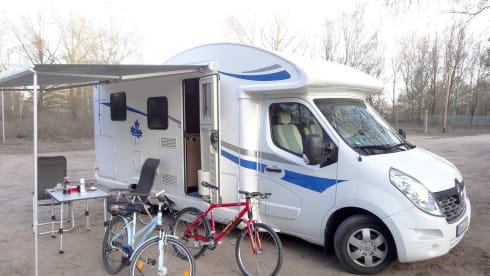 Willie – The Normal One