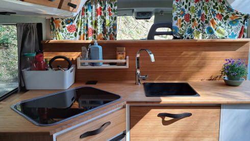 2p Fiat bus from 2020