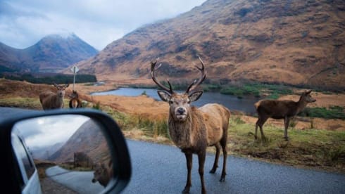 Mork! – Live the van-life dream. Fully equipped VW T6 