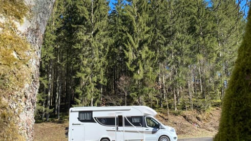 Benimar Cocoon 463 – Brand new family motorhome - Driving license B