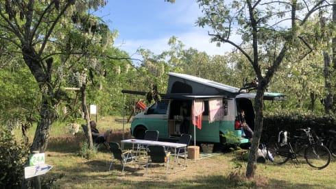 Bulli – 4p Volkswagen Campervan from 2022