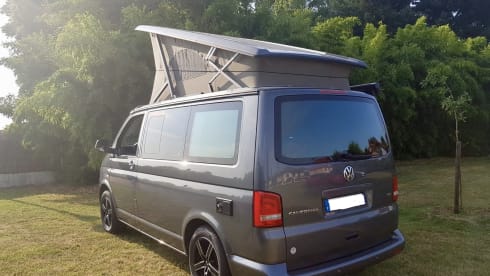 Calif – LIEFERWAGEN VW Kalifornien