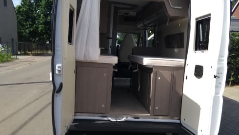 CHAUSSON Exclusive V597CS