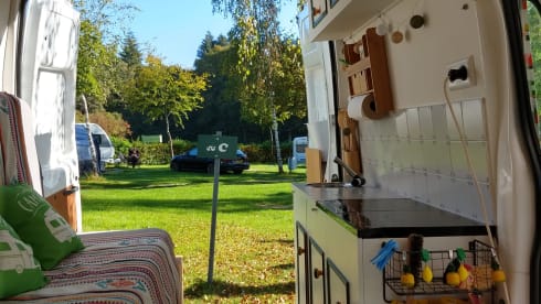 Ferdinand Ford – Ford Transit camper van from 2021 two persons.