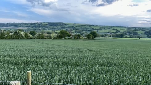 Betty – Chausson-Halbintegration mit 4 Kojen ab 2025