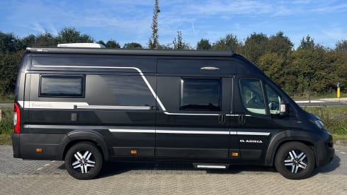 Minibus Fiat 3 places de 2019