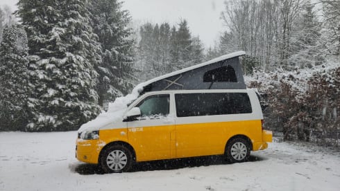 Ventje_CamperBuddy – Ventje_Camperbuddy-Camper Ventje-Luxury VW T5 automatic - new!