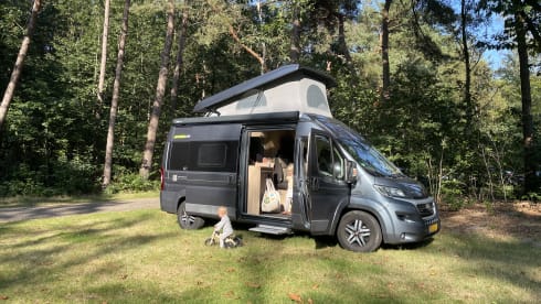4p Hymer bus from 2016