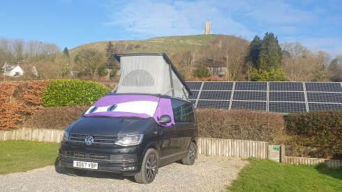 Billy – 4 berth Volkswagen California Ocean 2017