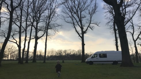 4p Mercedes-Benz bus uit 2010