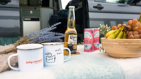 Skye – Volkswagen T6 