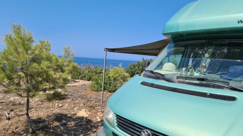 Flow  – Volkswagen California camper including insurance