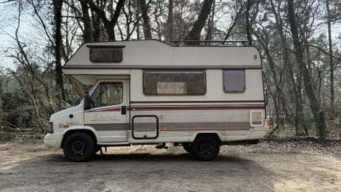Liberty – Alcove camper 