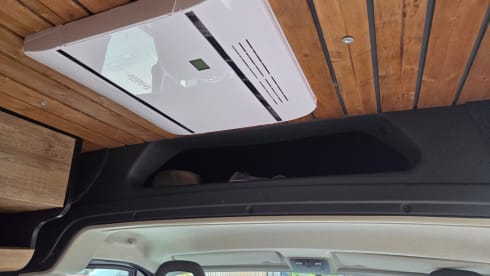 Fiat Ducato multicab 