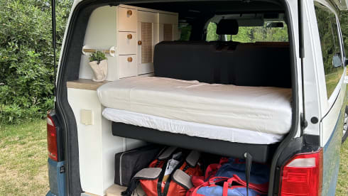 Vanny Blue – Luxurious & attractive VW camper Woodpecker - 4p