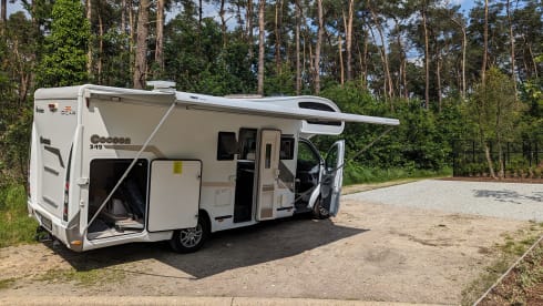 benimar 342 – 5p Benimar alcove from 2016