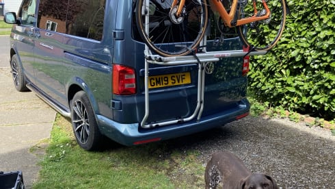 Bluey the Transporter Heeler – VW T6 Petrol Blue, 4-Berth