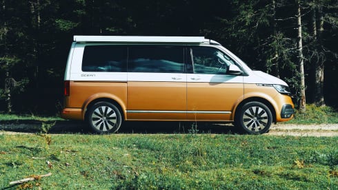 Ludwig – VW T6.1 California Ocean