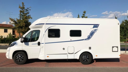 Mik – Bustner Delfin