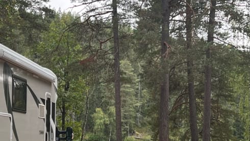 4p Chausson Titanium t628 from 2019