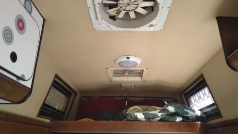 VanNino – A unique experience and a dive into the past? VanNino!