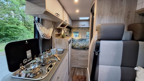 Hermes – Adventurous Bravia Swan 599 Trend 165hp